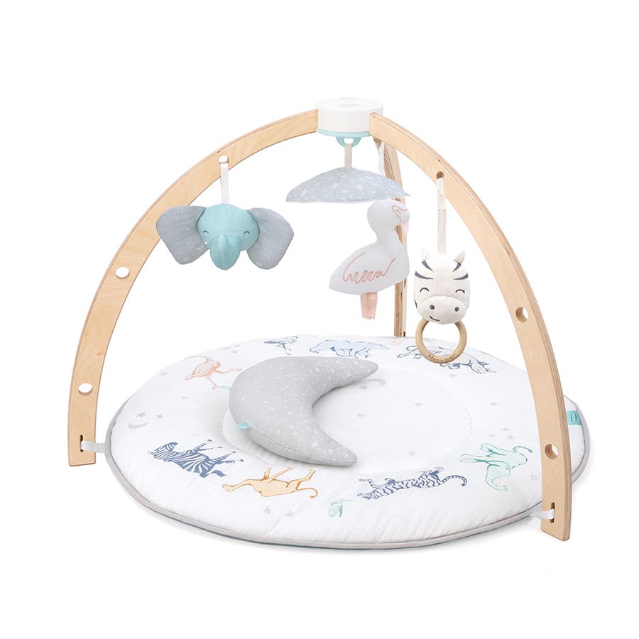 Baby Activity Gym User Manual